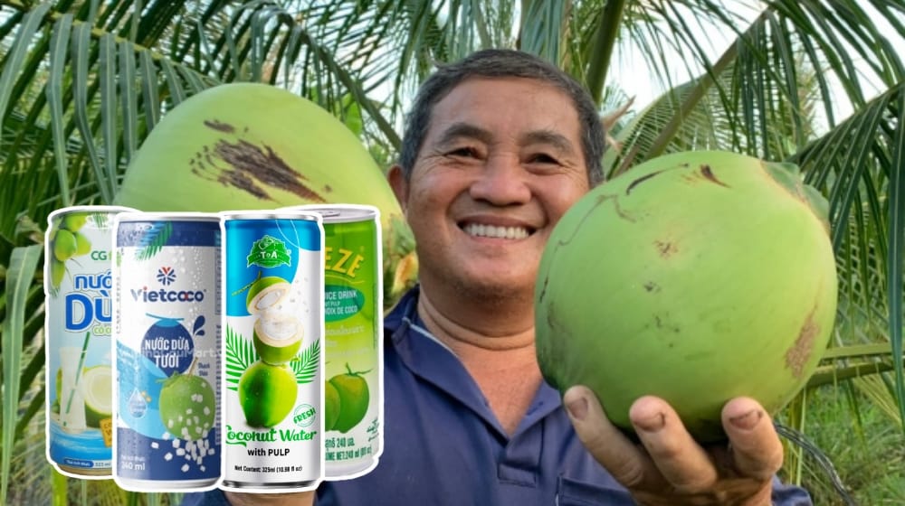 Dừa hữu cơ Việt Nam chinh phục thị trường Hàn Quốc Bước tiến mới trong hợp tác F&B Việt – Hàn